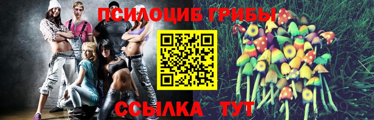 Елизово  Псилоцибиновые грибы прущие грибы  Вход с VPN 