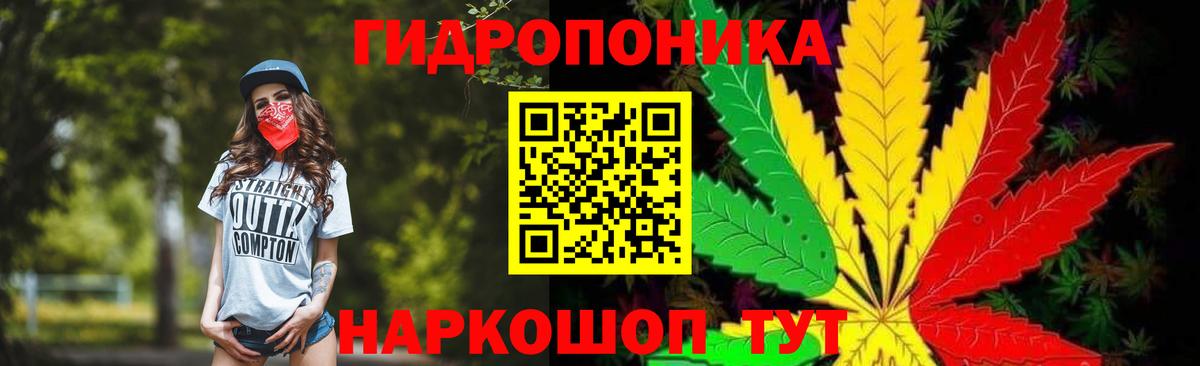 Шишки марихуана Bruce Banner Елизово